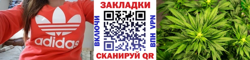 Магазины продажи наркотиков Шагонар Канабис NBOMe Галлюциногенные грибы mega ONION Гашиш СК Меф