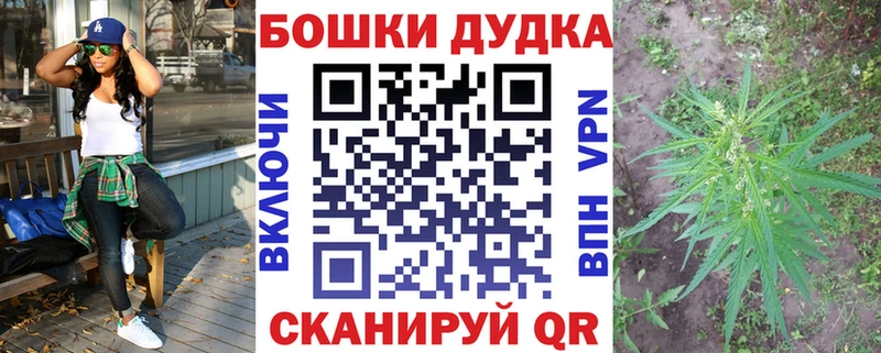 наркотики  Шагонар  Каннабис план 